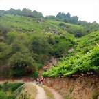 DSCN6240