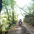 DSCN0458