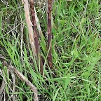 IMG-20180407-WA0001