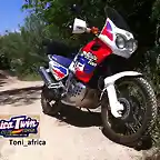 Toni_africa_avatar2