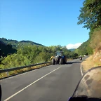 DSCN4234