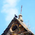 DSCN1182'5