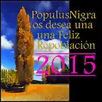 Feliz 2015