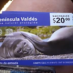 P1070581