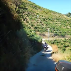 DSCN4212