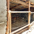 DSCN1167
