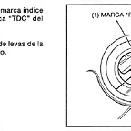 3 marcas distribucion 11