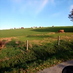DSCN0539