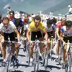 TOUR DE 1986-HINAULT-PINO-