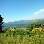 DSCN4785