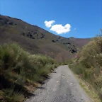 DSCN9519