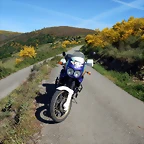 DSCN0977