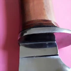 DSCF1715