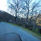 DSCN9095