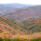 DSCN9542