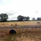 DSCN6460