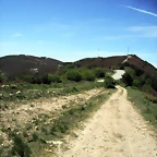 DSCF2580