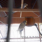 CIMG0288
