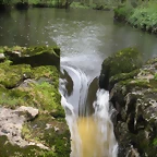 DSCN4180