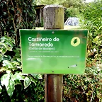 DSCN4456