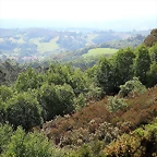 75-IMG_1455