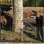 Zoo de Barcelona 12-04-11 022