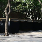 Zoo de Barcelona 12-04-11 163