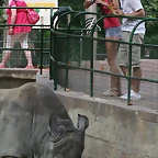 Zoo de Barcelona 07-09-2010 209