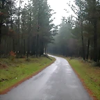 DSCN5625