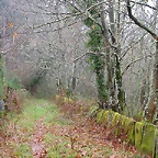 DSCN5617