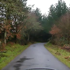 DSCN5629