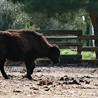La Barben febrer 2011 1188