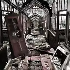 greenhouse-abandoned