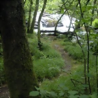 DSCN2808