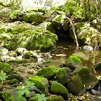 DSCN3229