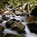 DSCN3228