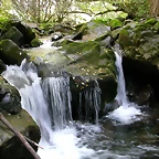 DSCN3232