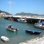 DSCN6752