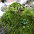 DSCN3231