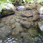 DSCN3233
