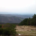DSCN4990