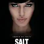 salt-poster-final