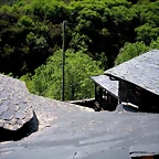DSCN5829