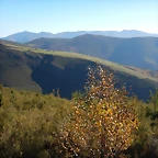 DSCN9120