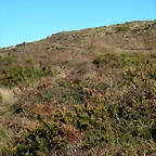 08-IMG_4380