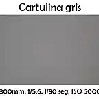 fotografias-cartulinas