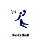 basket2021-1