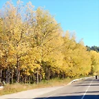 DSCN8871
