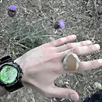 DSCF8858