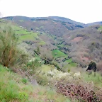 DSCN4085